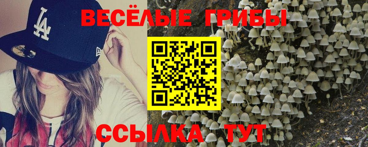Псилоцибиновые грибы ЛСД  Вход с VPN  Псилоцибиновые грибы Psilocybe  где продают наркотики  Прохладный 